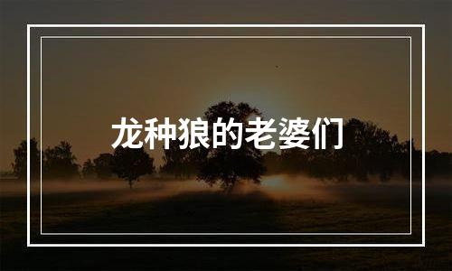 龙种狼的老婆们