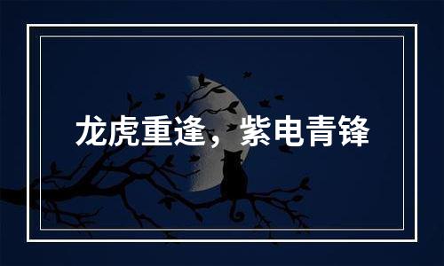 龙虎重逢，紫电青锋