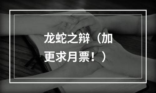 龙蛇之辩（加更求月票！）