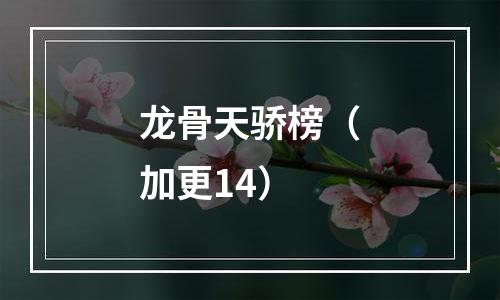 龙骨天骄榜（加更14）
