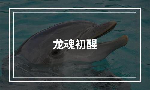 龙魂初醒