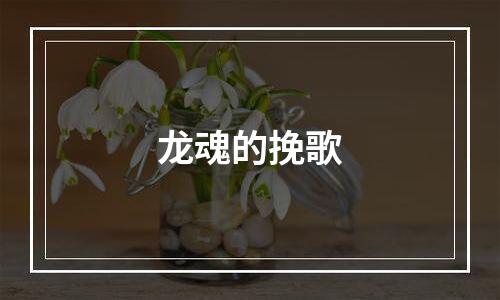 龙魂的挽歌