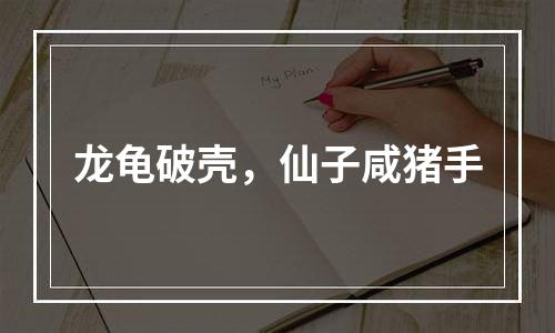 龙龟破壳，仙子咸猪手