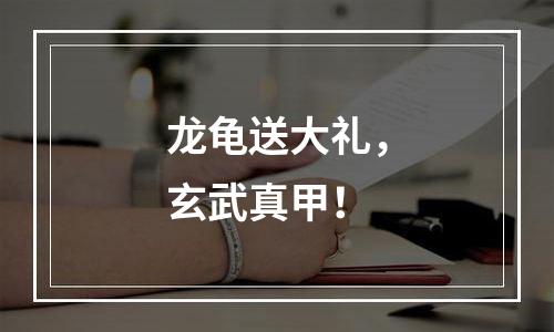 龙龟送大礼，玄武真甲！