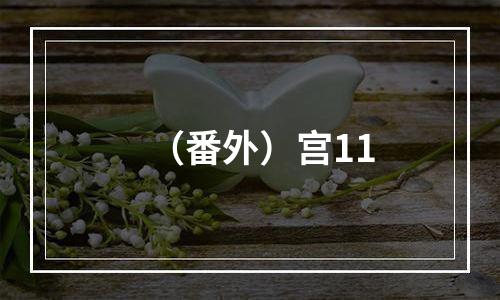 （番外）宫11