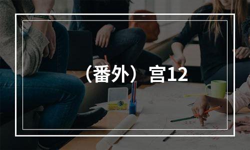 （番外）宫12