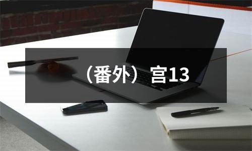 （番外）宫13