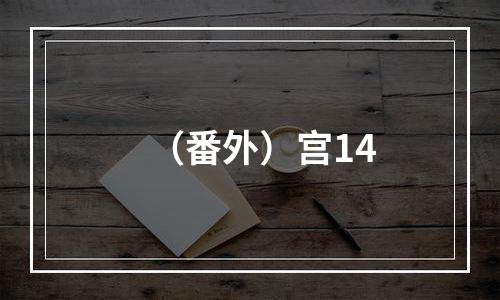 （番外）宫14