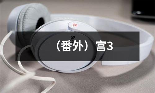 （番外）宫3