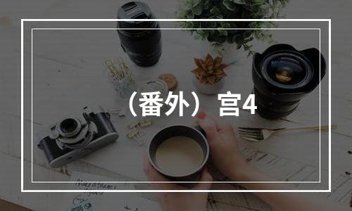 （番外）宫4