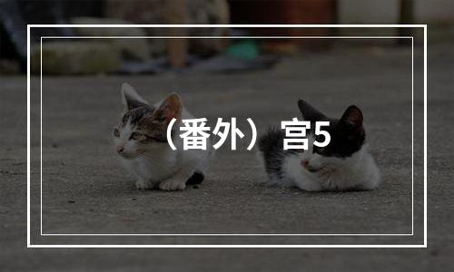 （番外）宫5