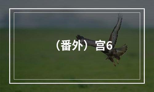 （番外）宫6
