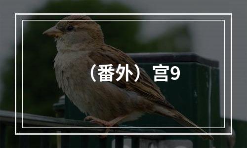 （番外）宫9