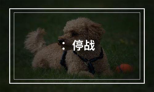 ：停战