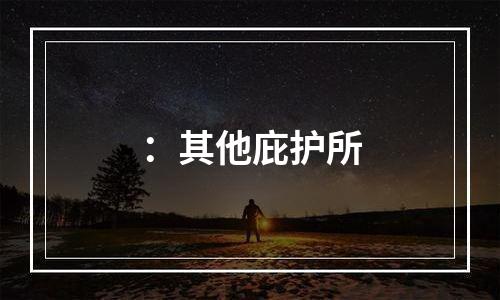 ：其他庇护所