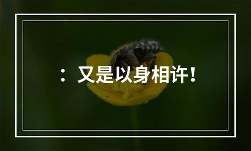 ：又是以身相许！