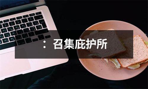 ：召集庇护所