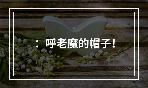 ：呼老魔的帽子！