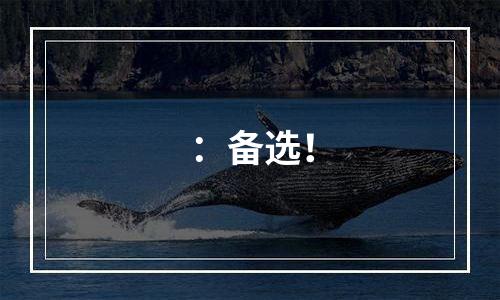 ：备选！