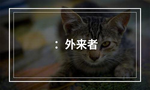 ：外来者