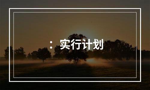 ：实行计划