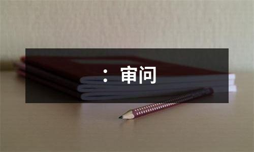 ：审问
