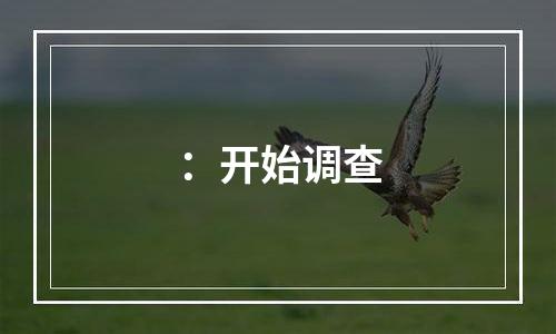 ：开始调查