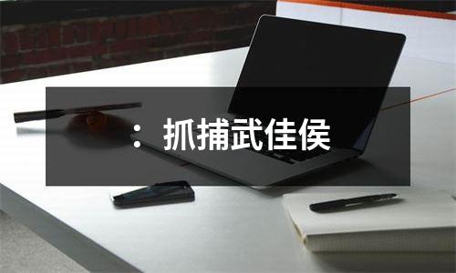 ：抓捕武佳侯