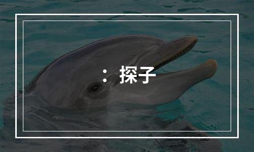 ：探子