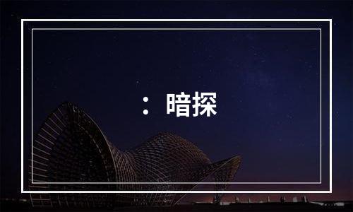 ：暗探