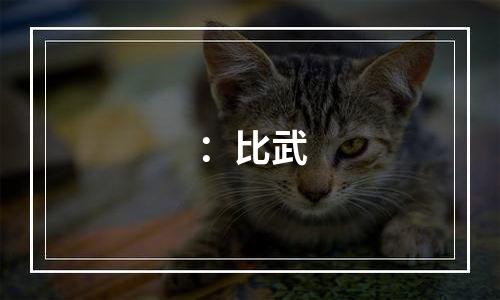 ：比武