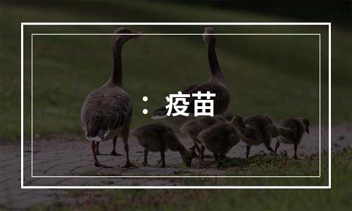 ：疫苗