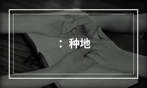 ：种地