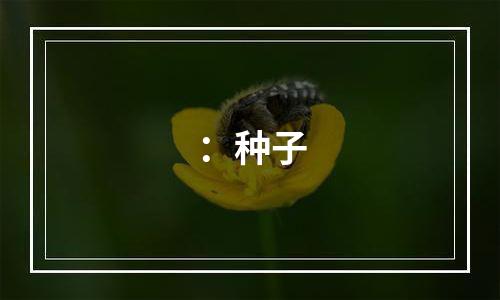 ：种子