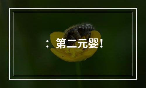：第二元婴！
