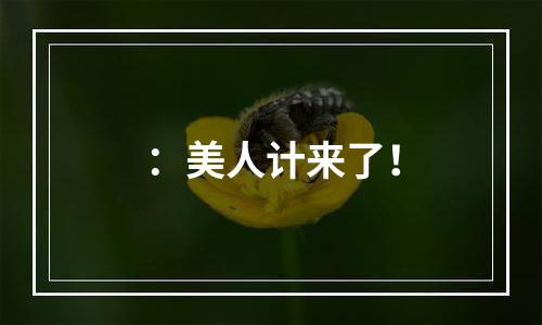 ：美人计来了！