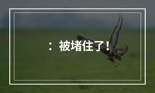 ：被堵住了！