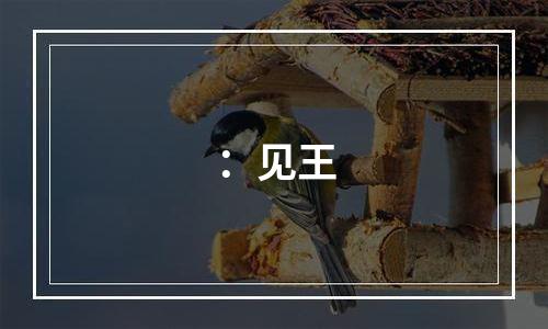 ：见王