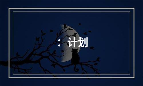 ：计划
