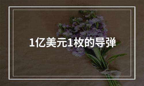 1亿美元1枚的导弹