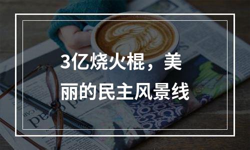 3亿烧火棍，美丽的民主风景线