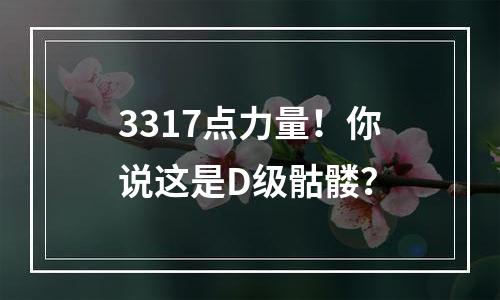 3317点力量！你说这是D级骷髅？