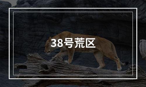 38号荒区