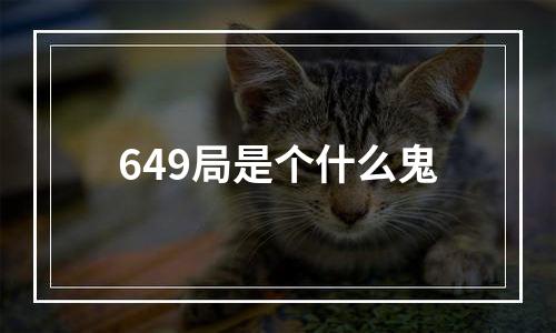 649局是个什么鬼