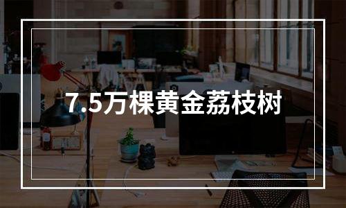 7.5万棵黄金荔枝树