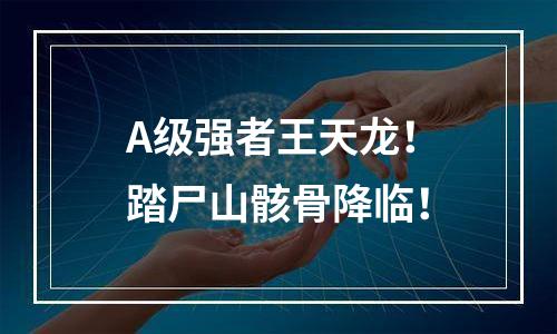 A级强者王天龙！踏尸山骸骨降临！
