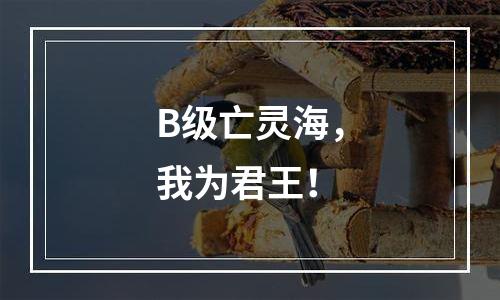 B级亡灵海，我为君王！
