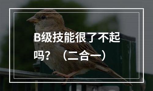 B级技能很了不起吗？（二合一）
