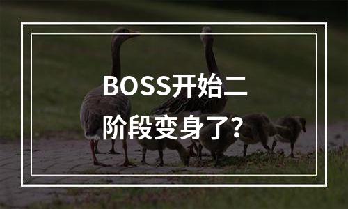 BOSS开始二阶段变身了？