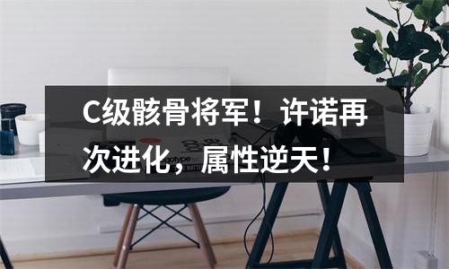 C级骸骨将军！许诺再次进化，属性逆天！